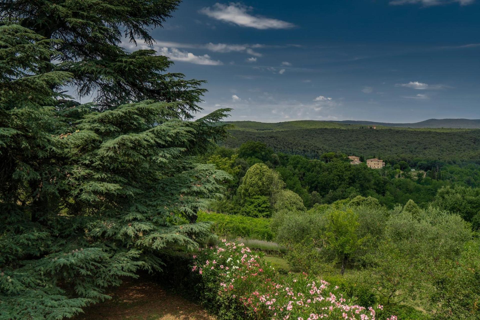 Borgo Villa Certano - Case Vacanza In Toscana Farm stay *
